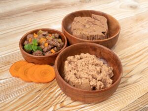 The Ultimate Guide to the Buddeez Pet Food Dispenser