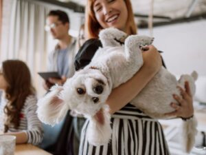Pet Wellness Group: Comprehensive Care for Your Furry Friends