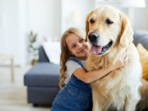 Companion Animal Hospital: Your Pet’s Ultimate Healthcare Partner