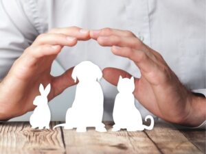Animal Medical Clinic: Your Partner in Pet Health