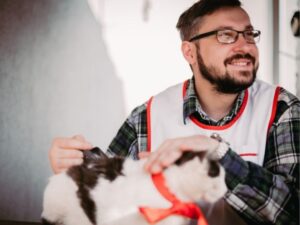Urgent Pet Care Millard: Providing Immediate and Compassionate Veterinary Services