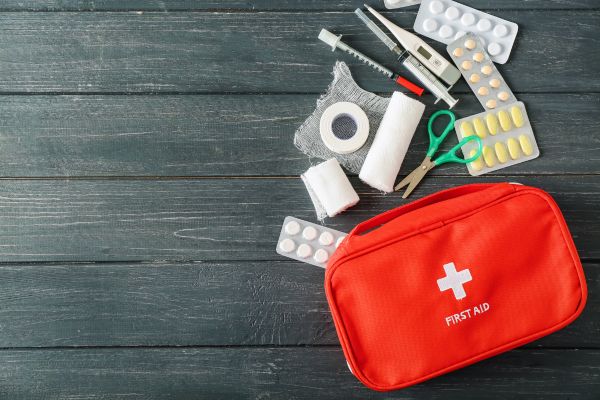 how to make a pet first aid kit