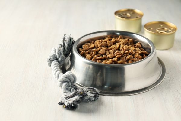 Homemade cat food guide