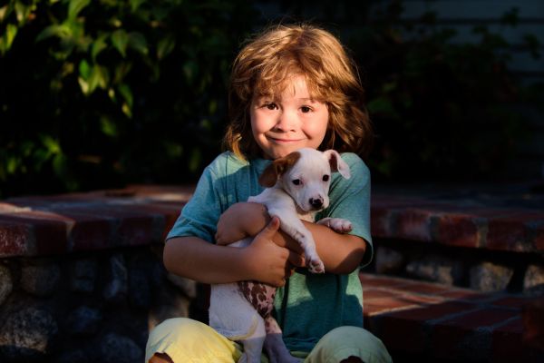 feeding exotic rodents safely