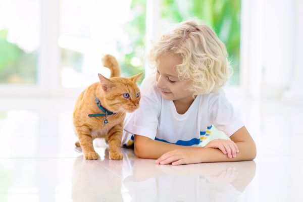 Pet care tips for kids