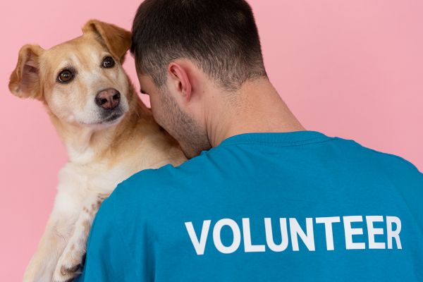 how to become an animal rescue volunteer