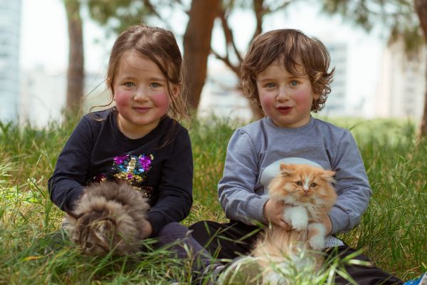 Exotic pets and children