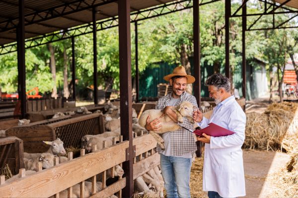 Animal welfare organizations