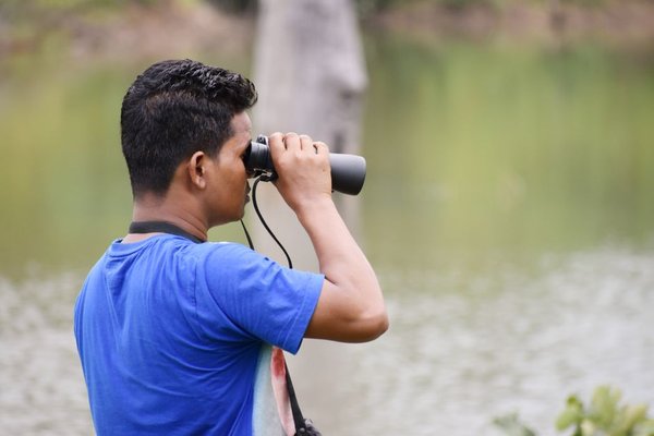 birdwatching binocular magnification