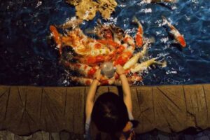 Goldfish Feeding Guide: Food Types, Portions, and Frequency